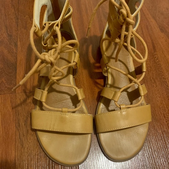 BC Footwear Gladiator Sandals - Picture 1 of 5